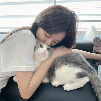 芙蓉仙子