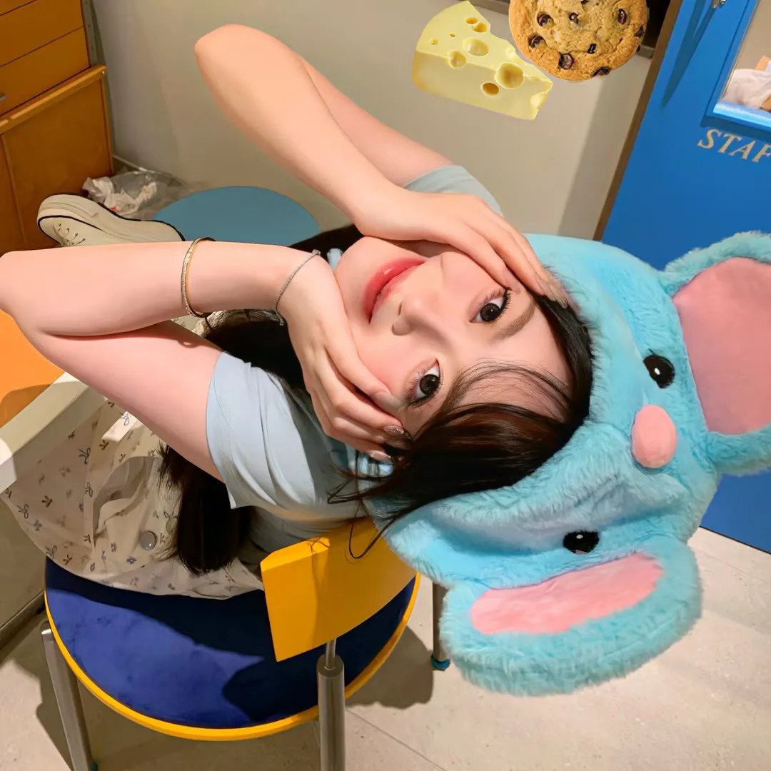 养猫的人